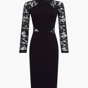 Women's French Connection VIVEN LACE JERSEY MESH SLEEVE DRESS